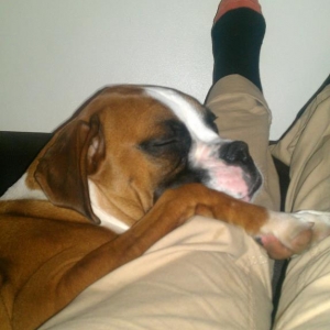 sleeping_beauty4