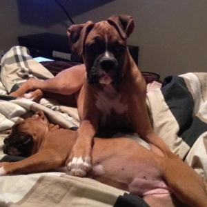 Max and Chloe