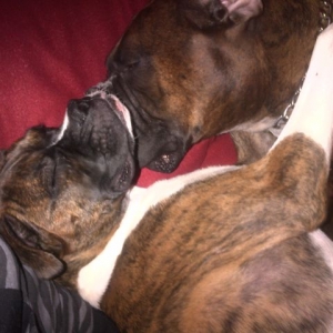 Diesel & Roxy