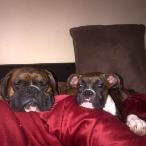 Diesel & Roxy