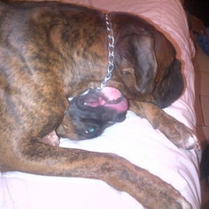 Diesel & Roxy