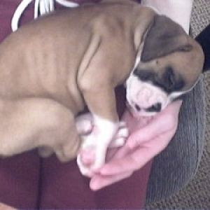Baby Bella in 2005.