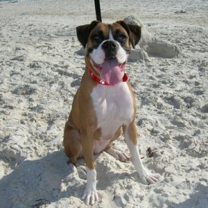 Bella in Florida.