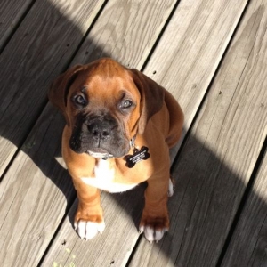 Sitting on the Deck