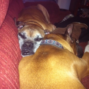 So Comfortable!