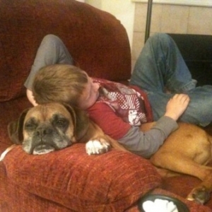 Boxer as pillow