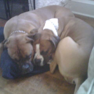 My boys