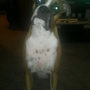 Mugsy
