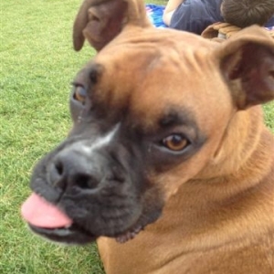 buckley4