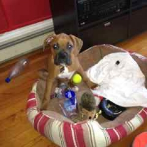 Hoarding