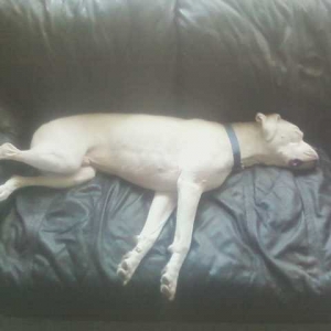 Tazers favorite spot