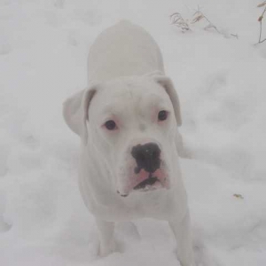 Lost in the snow!