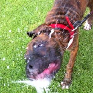 Water fun