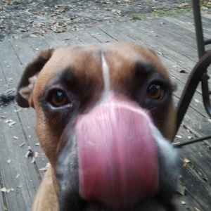 BIG_KISS_MOMMY