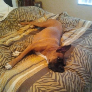 My_Bed_