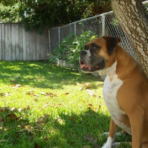 Happy_7_Year_Old_Birthday_Samantha