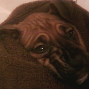 1st Bath