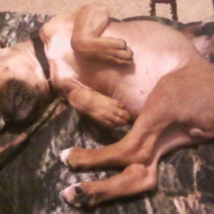 Sleepy