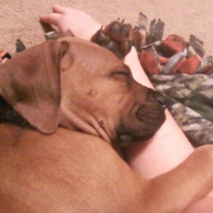 Spoiled