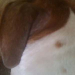 Skin Issues