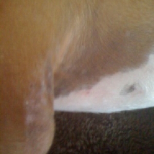 Skin Issues - Left Elbow