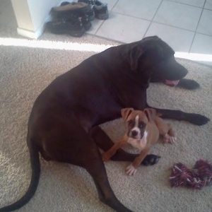lucy and ty