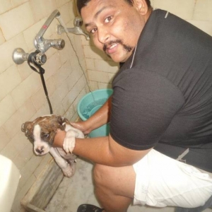 shehzada