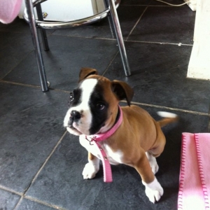Milly
