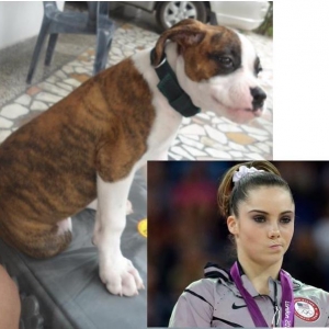Shehzada's  take on McKayla Maroney Bitchface :P