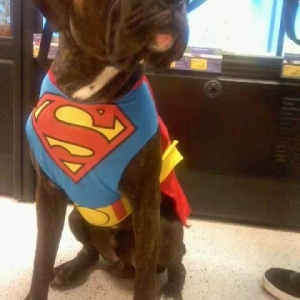 Tyson Getting Ready for Halloween Early