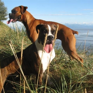Ginger_N_lily_Kincaid_Small_