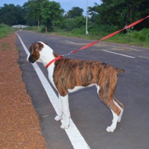 Smart boy
