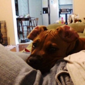 messy ears
