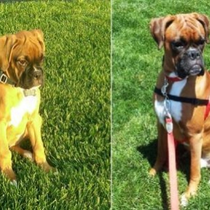 Bentley:  3 months & 13 months