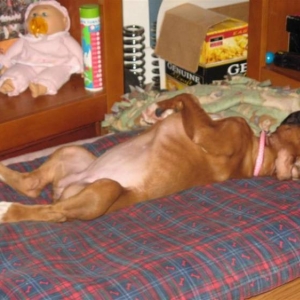 Ginger_shamelessly_passed_out_Medium_