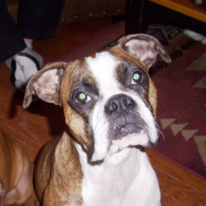 Precious Roxy