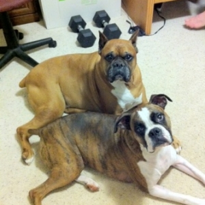 Roxy and Bruzer