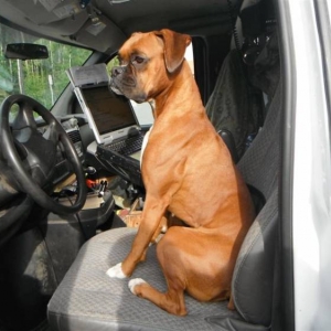 Ginger_at_her_new_job_