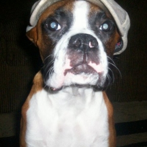 Dexter