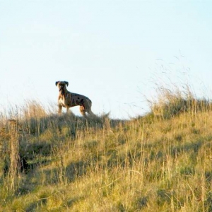 Come_on_Dad_hurry_