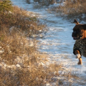 airborne_Boxer_S_