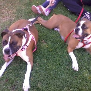 Samson and Rylei