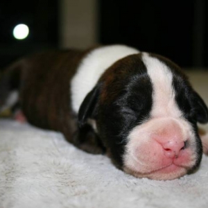 Baby_Mia