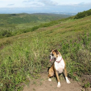 Dakota_summer2009_s