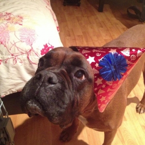 Selene is 8 yrs old now :)