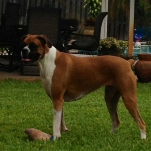 MARLEY