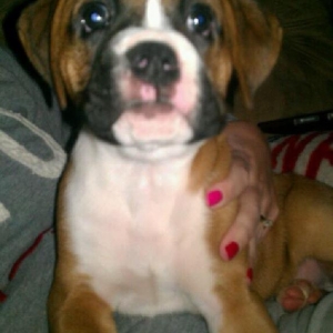 Sage 6.5 weeks