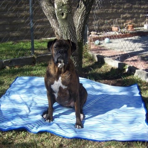 Happy_7_Year_Old_Birthday_Syd