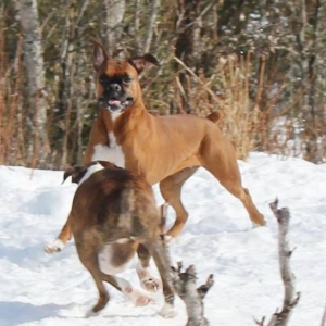 Lily in attack mode, G looking at the camera