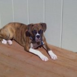 7 Month old Kita baby!!
